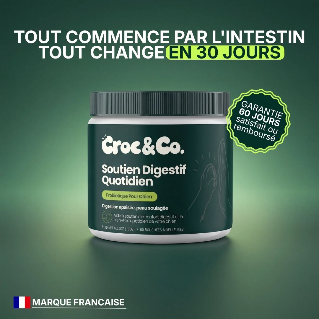 Croc&Co Soutien Digestif Quotidien | Probiotique pour Chien