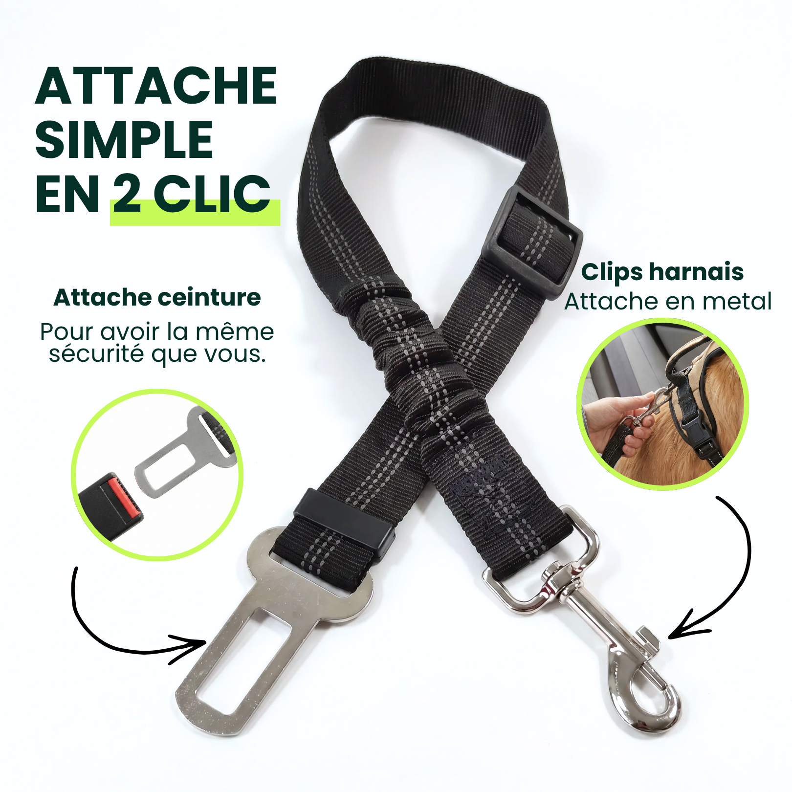 Croc&Co | ATTACHE VOITURE