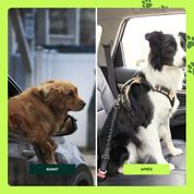 Croc&Co | ATTACHE VOITURE