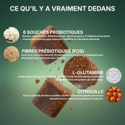 Croc&Co Soutien Digestif Quotidien | Probiotique pour Chien