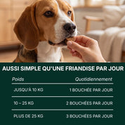 Croc&Co Soutien Digestif Quotidien | Probiotique pour Chien