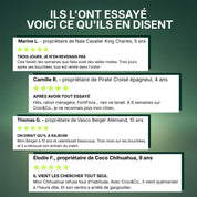 Croc&Co Soutien Digestif Quotidien | Probiotique pour Chien