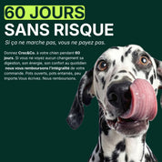 Croc&Co Soutien Digestif Quotidien | Probiotique pour Chien
